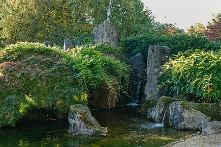 春天的日本花园里有瀑布的美丽平静景象 日本秋天的形象 有池塘和红色叶子的美丽的日本庭院 日本花园中的池塘植物树叶宝塔场景建筑学森图片