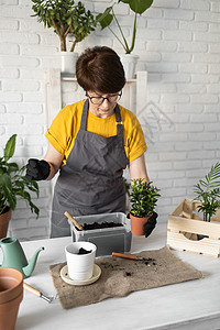 中年妇女园丁在白色木桌上的陶瓷盆中移植植物 家庭花园的概念 春天的时候 时尚的室内装饰有很多植物 照顾家里的植物生长桌子女士热情图片