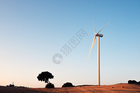 日落时田间风车螺旋桨草地活力力量涡轮场地农场蓝色发电机植物图片