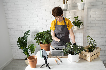 中年妇女园丁在白色木桌上的陶瓷盆中移植植物 家庭花园的概念 春天的时候 时尚的室内装饰有很多植物 照顾家里的植物房间热情栽培桌子图片