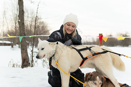 哈斯基冬友情季节 动物宠物 年轻女动物 在公园积雪中游图片