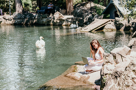穿白色运动衣的女人坐在湖边和天鹅坐在一起 在笔记本电脑上工作图片
