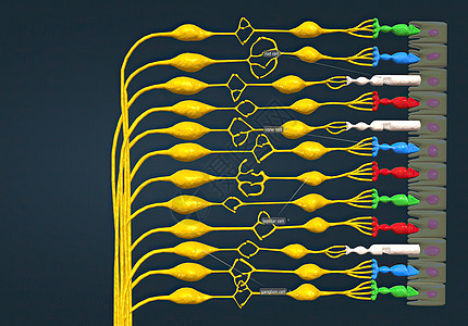 视网膜神经电路图片