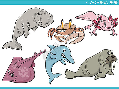 海洋生物或海洋动物特写卡通漫画卡通片动物园蝾螈海牛插图螃蟹收藏背鳍潮蟹剪贴图片