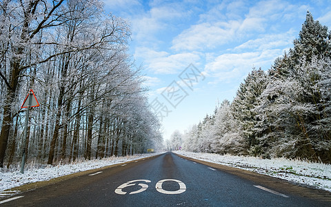 冬季天气 荷兰冬季道路和冬季路段 佛莱沃兰白雪冻霜树国家风景旅行日落沥青森林太阳全景场景树木图片