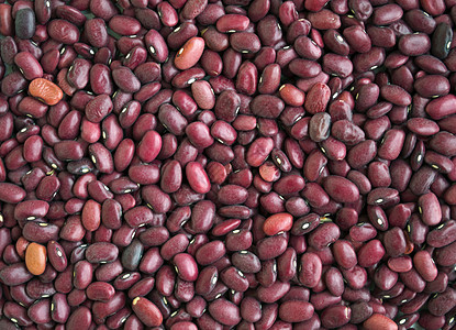 红干豆 质地 背景图片