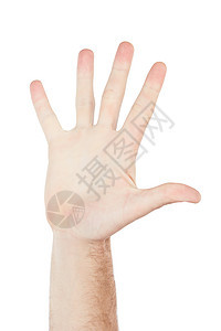 在工作室的白色背景上隔离的数字 显示和人员的手进行交流 高五 手语和男人的手掌 用于警告 对话和背景上的问候图片