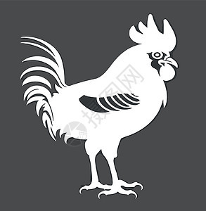 养殖动物绘画 鸡和小鸡的轮廓市场翅膀插图标识公鸡食物农村农场商业艺术图片