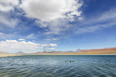 智利与玻利维亚接壤的阿塔卡马(Atacama)图片