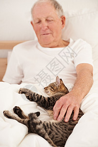 你好 小朋友 一个跟猫睡在床上的老人图片