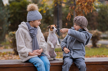 哥哥姐姐和狗在秋天公园散步时 在长凳上拥抱着一条狗 男孩 女孩和杰克罗塞尔公园叶子享受外套长椅友谊孩子喜悦童年宠物图片