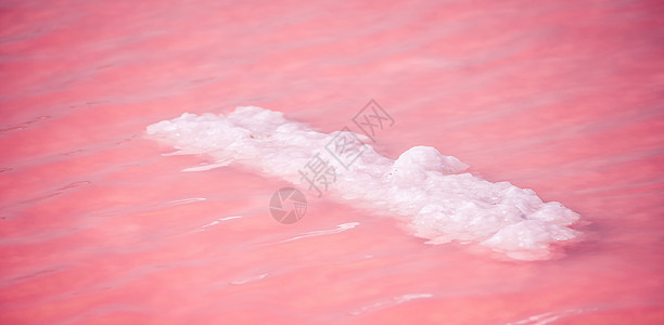 粉红色的盐晶体 天然粉红色盐湖纹理 采盐 含盐量极高的粉红色湖泊 由微藻和结晶盐沉积物着色公园地平线支撑海滩旅行国家海岸海洋矿物图片