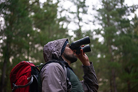 帅哥用双筒望远镜扫描周围的森林 让鸟儿活到现在 他们正在寻找那只特殊的鸟图片