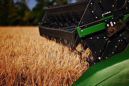 农业联合收割机在收获成熟小麦期间在田间 结合在麦田工作 收获期间的收割机 联合收割机收割庄稼 收割工具的特写风光面包季节粮食栽培图片