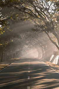 冬天早上在孟加拉公路上街道焦点选择性公路运输阳光运动交通背景村庄图片