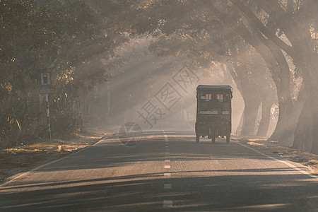 冬季清晨在孟加拉公路上驾车地平线交通运输太阳风光天气森林阳光天空季节图片
