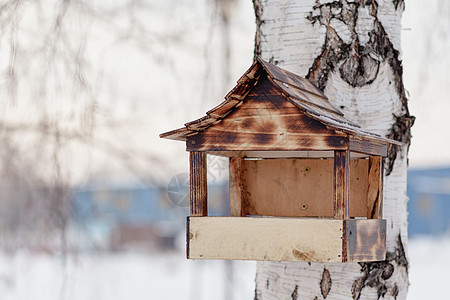 木鸟饲料器 从冬季花园的树上撒种子季节食物鸟器城市公园盒子荒野动物喂养鸟类图片