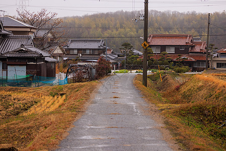 雨季通往小日本村的乡村公路;图片