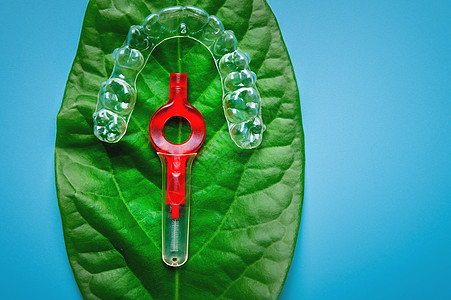 上方风景 塑料牙套和两用笔刷都放在花的绿叶上 温和牙科治疗的概念图片