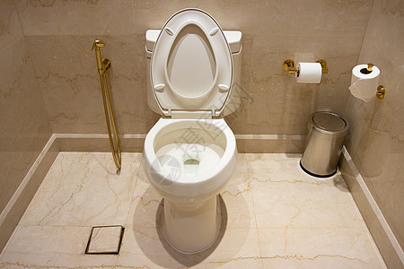 一间贵房的厕所里有白马桶民众陶器壁橱卫生间洗澡数字座位浴室隐私照片背景图片