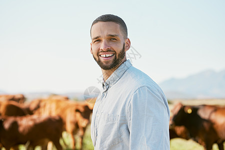 奶牛 农场和黑人肖像在夏天对养牛业 农业和自然感到高兴 草地 生态产业和商务人士在户外微笑着检查动物肉生产图片