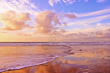 加州圣地亚哥州圣迭戈托利松树海滩在标题中用这个 谢谢海岸线支撑风景波浪城市天气国家季节松树海滩图片