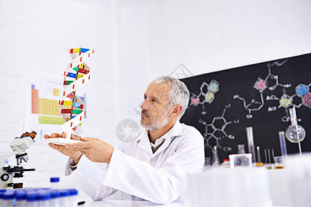 遗传学是他的专长 一位成熟的男性科学家在他的实验室里拿着一个 DNA 分子模型图片