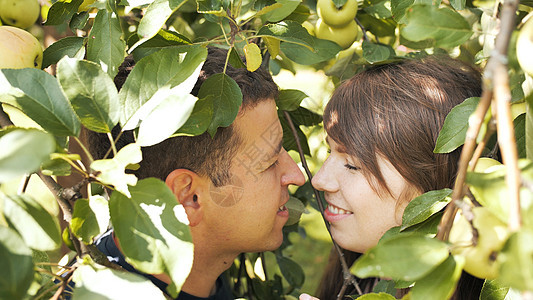 一个男孩和一个女孩相爱 在苹果树的树枝里 拥抱着对方微笑幸福花园公园家庭夫妻男人男性女性女孩图片