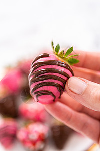 巧克力覆盖草莓毛毛雨小雨植物食物甜点糖果水果红色配菜盘子图片