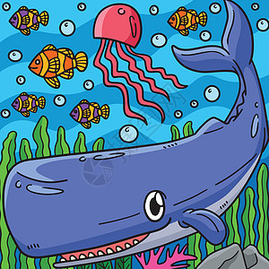 红斑鲸海洋动物有色漫画图片