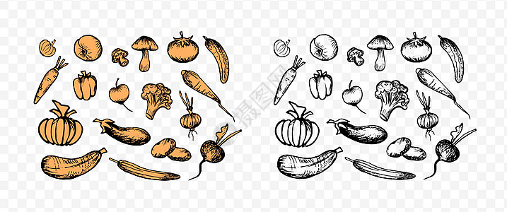 红灯笼椒彩色和黑色的植物草图烹饪黄瓜南瓜萝卜墨水农业厨房白萝卜黑与白收藏插画