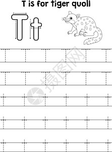 Tiger Quoll动物追踪信ABC 彩色 T图片