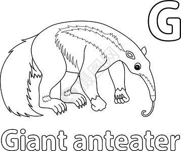 巨型 Anteater 字母 ABC 单色 G图片