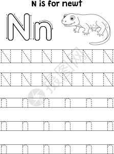 纽特动物追踪信ABC 彩色页面 N图片