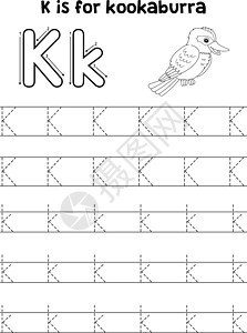 Kokaburra动物追踪信ABC 彩色 K图片
