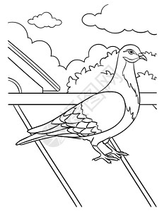 儿童鸽子彩色页面彩页意义插图动物染色野生动物剪贴教育孩子们填色图片