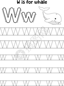 捕鲸动物追踪信件ABC 彩色页面W图片
