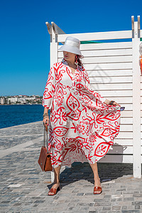 穿着帽子和礼服的女人享受蓝色的海洋和夏天 欢迎夏天天空农民海滩海景裙子金属微笑旅游栏杆生活图片