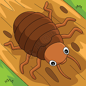 染色动物Bedbug 漫画插图图片
