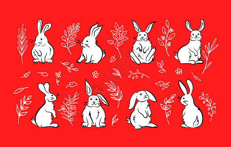白色卡通兔子和白色轮廓图片