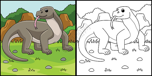 科莫多龙Komodo儿童热带异国野生动物巨蜥彩页填色本捕食者涂鸦情调图片
