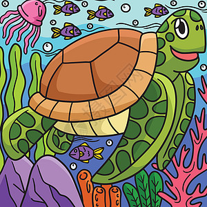 海龟海龟动物有彩色漫画说明图片