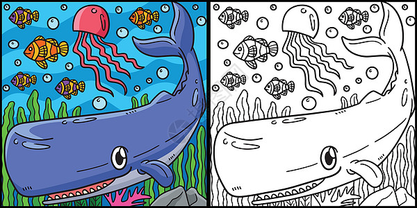 Sperm 鲸鱼彩色页面有色说明图片