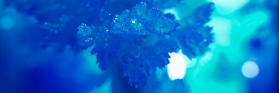 寒冷寒冷的冻冰冰模式天气水晶磨砂雪花冰镇冻结生长结晶温度宏观图片