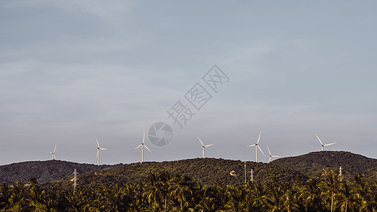 越南绿山热带棕榈树 自然景观 风景图画和树木地貌越南 南越地平线空气晴天气氛植物旅游蓝色草地全景旅行图片