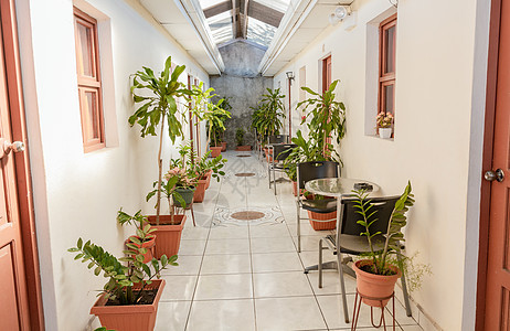 热带旅馆的走廊 有盆栽天然植物的酒店走廊图片