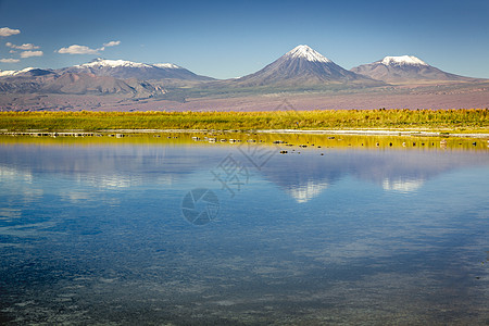 济州岛火山罗德阿塔卡马旅游高清图片