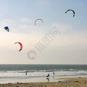 Kite 冲浪冲浪板乐趣假期木板航行运动海滩闲暇海岸女士图片