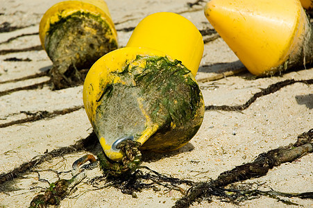 浮标绳索假期黄色海滩漂浮旅游太阳海岸线背景图片