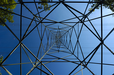 金属网几何天空线条线路树木蜘蛛框架公用事业蓝色树叶图片